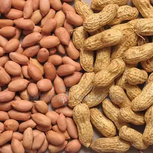 Groundnut (brun petit)