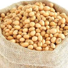Soya Beans